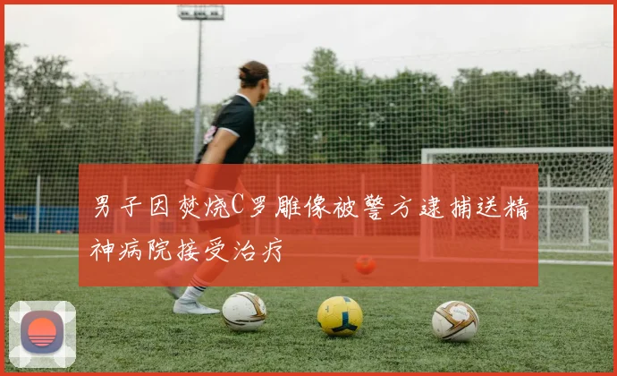 男子因焚烧C罗雕像被警方逮捕送精神病院接受治疗
