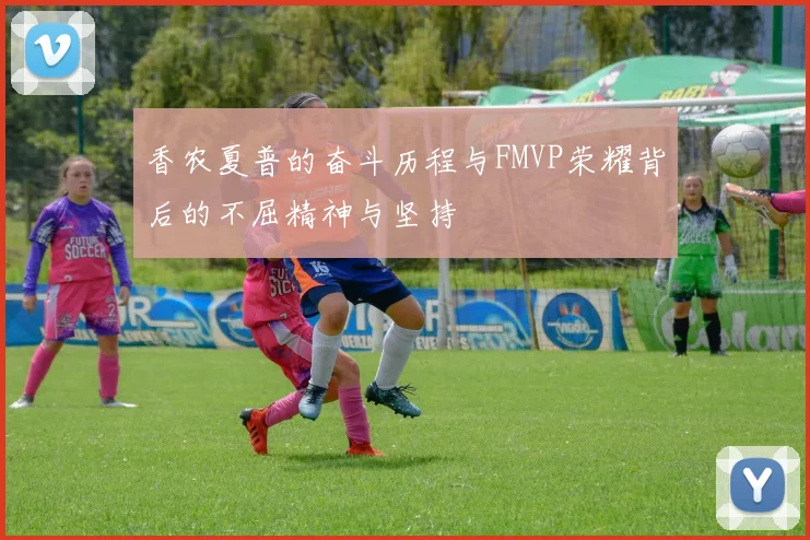 香农夏普的奋斗历程与FMVP荣耀背后的不屈精神与坚持